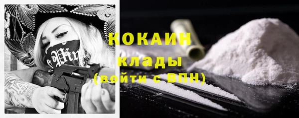 дмт Арсеньев