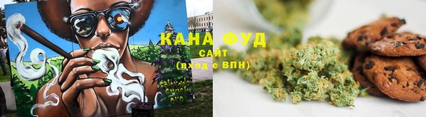 дмт Арсеньев