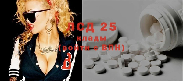 гидра Аркадак