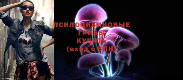 гидра Аркадак
