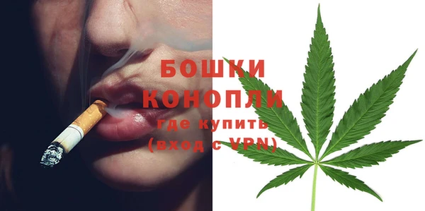 дмт Арсеньев