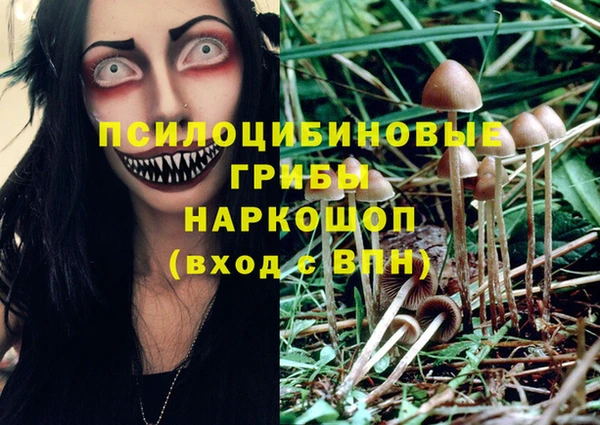 дмт Арсеньев