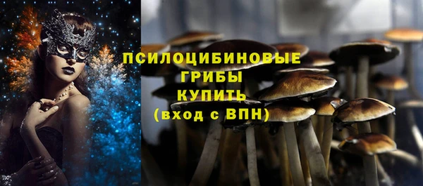 не бодяженный Армянск