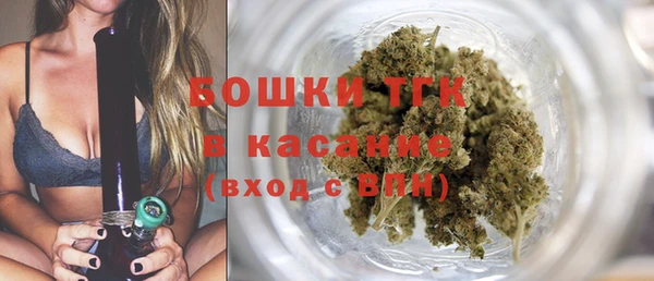 дмт Арсеньев