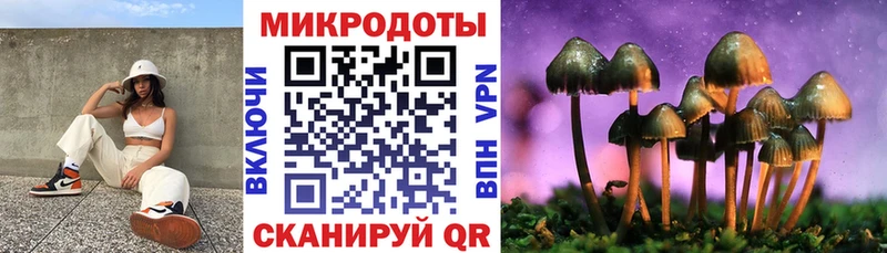 Галлюциногенные грибы Psilocybe  сколько стоит  Тайшет 