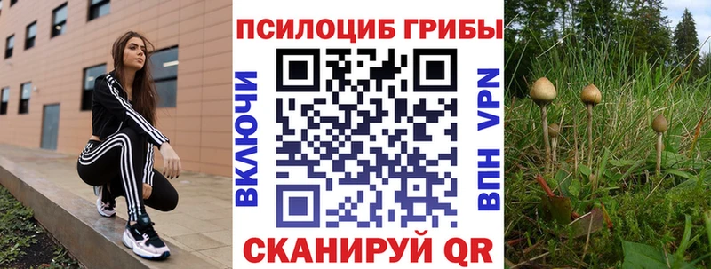 Псилоцибиновые грибы ЛСД Тайшет
